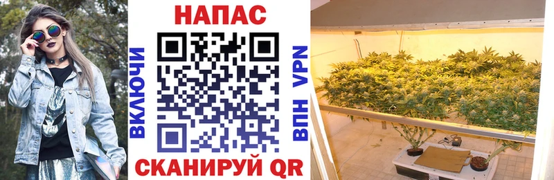 MDMA Полярный