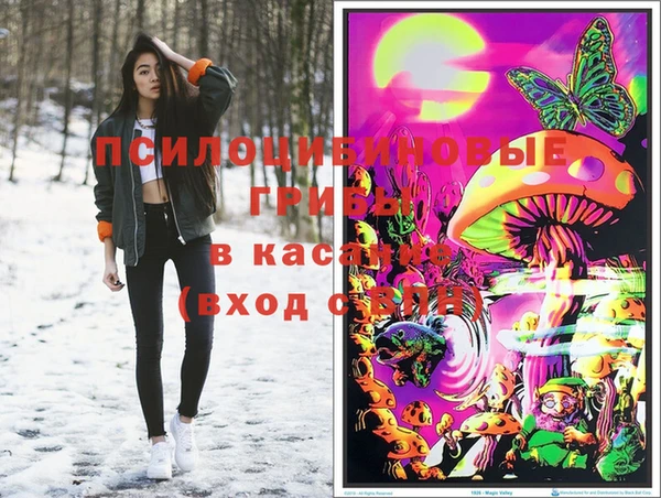 стафф Аркадак