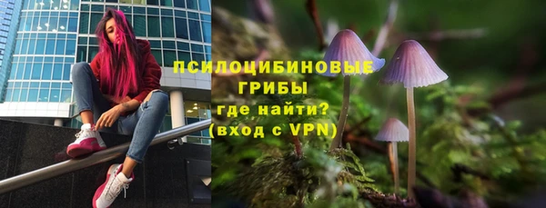 стафф Аркадак