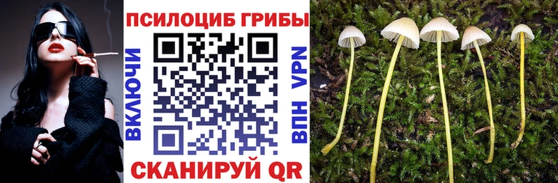 Галлюциногенные грибы Cubensis  как найти закладки  Полярный 